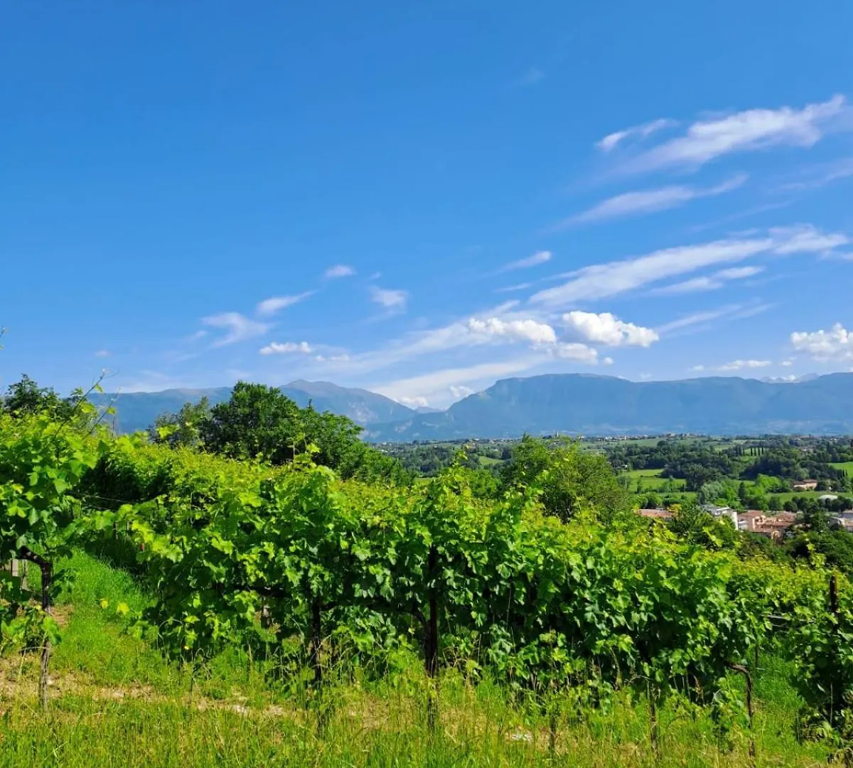 Bed and Breakfast Casa Di Tuco Conegliano